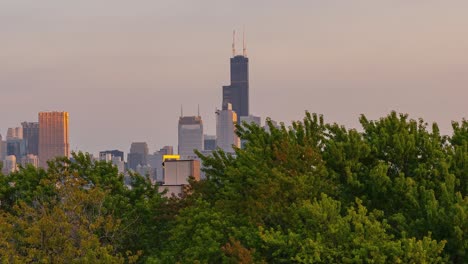 Chicago-Zeitraffer-Mit-Blick-Nach-Süden-In-Richtung-Sears-Tower-Mit-Bäumen-Im-Vordergrund