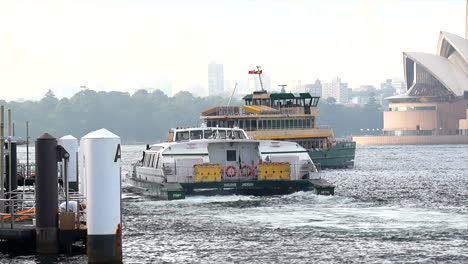 Zwei-Fähren-Im-Hafen-Von-Sydney