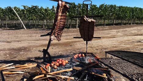 Grilling-in-Style:-Preparing-a-Beef-Rib-Rack-with-a-Scenic-Vineyard-Backdrop