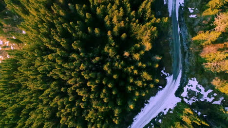 Top-down-drone-shot-of-forest-in-autumn-colors-and-a-road-partly-covered-with-snow