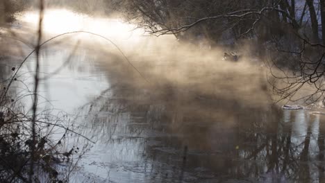 Winterfluss-Mit-Bewegtem-Nebel-Auf-Dem-Wasser
