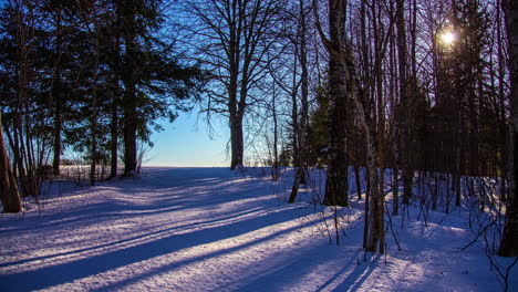 Timelapse-of-shadow,-sunlight-and-trees-moving-on-a-windy-winter-day-in-Scandinavia