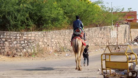 Turista-Montando-En-Camello-Desde-Un-ángulo-Plano-En-El-Día