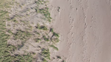 Desert-top-down-aerial-landscape