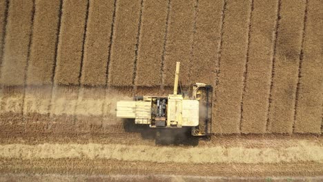 Aerial-video-footage-of-a-combine-harvester-on-a-grainfield