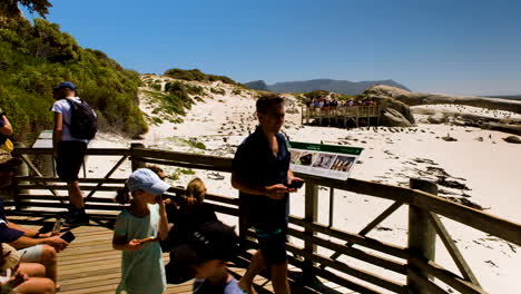 Tourists-with-kids-at-wooden-platforms-of-Boulders-beach-viewing-penguins