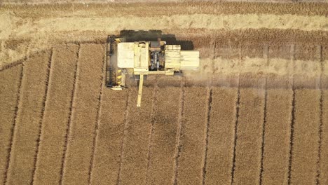 Aerial-view-over-modern-yellow-combine-grain-at-work