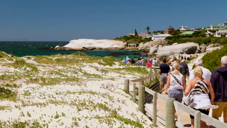 Tourists-on-Boulders-Beach-boardwalk-in-extremely-windy-conditions