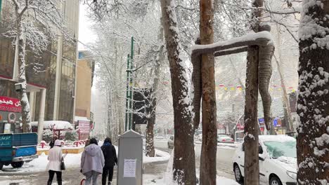 Schnitzereien-In-Baumwäldern,-Kunstwerke-Im-Stadtzentrum-Von-Teheran,-Iran-In-Der-Wintersaison,-Ein-Denkmal-Für-Ein-Paar,-Das-Seine-Hände-Im-Starken-Schnee-Hält,-Symbol-Für-Liebe-Und-Freundschaft,-Zeitgenössische-Kunst,-Menschen,-Die-Im-Schnee-Spazieren-Gehen