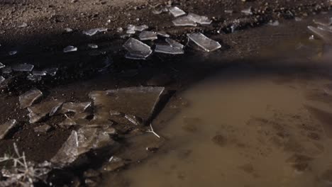 Static-shot-of-frozen-chunks-of-ice-on-top-of-mud-pool-during-early-morning