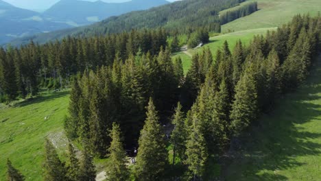 Drohnenaufnahme-Eines-Waldstandortes-In-Den-Bergen