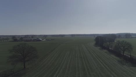 Aufsteigende-Und-Sich-Drehende-Drohnenaufnahme-Von-Landwirtschaftlichem-Land-Mit-Stadt-Und-Bäumen