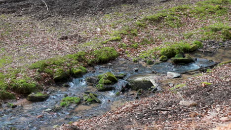 Idyllic-river-with-flowing-water-stream-in-the-woods,-rocks-in-the-water,-sourrounded-by-grass,-Brudergrund,-Erbach