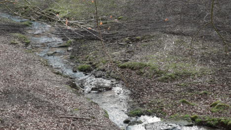 Idyllischer-Fluss-Mit-Fließendem-Wasserlauf-Am-Brudergrund,-Erbach-Mitten-Im-Wald-Mit-Baumbrunch-Davor,-Blick-Aus-Der-Ferne