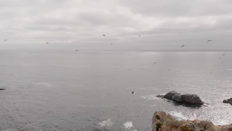 Birds-flying-over-cloudy-ocean-in-Northern-California,-Big-Sur