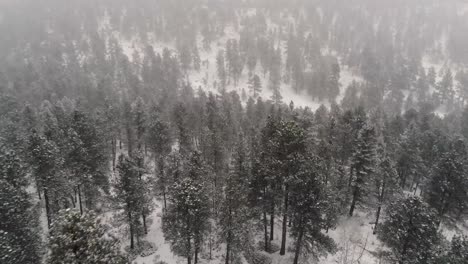 Drone-flying-over-a-forest-in-the-snow
