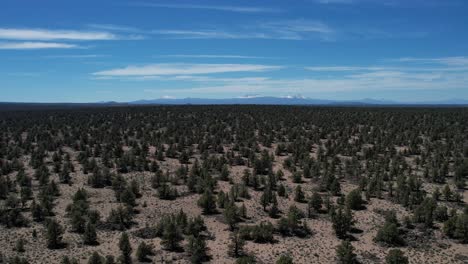 A-high-desert-expanse-in-eastern-Oregon-with-bushes-and-shrubs-and-the-Cascade-Mountains-in-the-distance