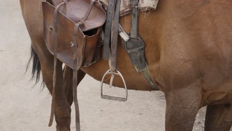Camera-tilt:-Saddle-and-pannier-detail-on-horse-in-Lesotho,-Africa