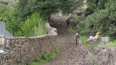Ein-Mann-In-Lesotho,-Afrika,-Rennt,-Um-Seinen-Esel-Auf-Der-Straße-Im-Trab-Zu-Halten