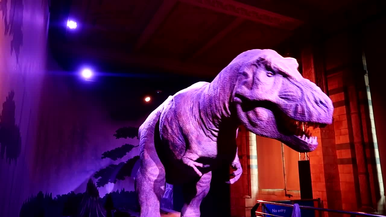 premium-stock-video-recreation-of-a-t-rex-dinosaur-roaring-in-the