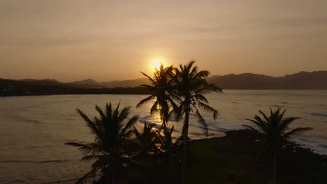 Die-Sonne-Flackert-Durch-Die-Blätter-Der-Palmen-In-Einer-Tropischen-Sonnenuntergangsszene