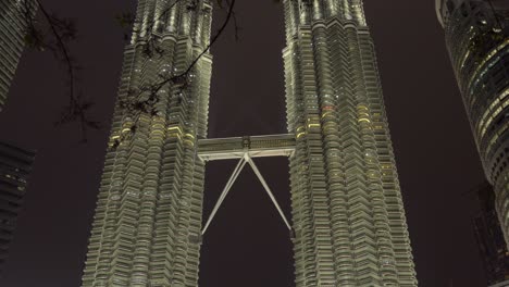 Petronas-twin-towers-and-Suria-KLCC-Kuala-Lumpur-between-trees-at-night-Maylsia