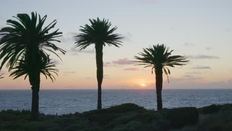 Sun-setting-into-ocean-behind-clouds,-with-palm-branches-waving-in-breeze-and-distant-cargo-ship-on-horizon