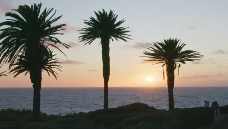 Zeitlupenaufnahme-Des-Sonnenuntergangs-Durch-Große-Palmen-Mit-Sonnenstrahlen,-Die-Auf-Das-Meer-Scheinen,-Mit-Der-Silouette-Von-Vater-Und-Baby-Im-Vordergrund