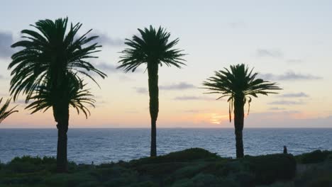 Sunset-through-large-palm-trees-with-sun-rays-shining-down-on-ocean-with-silouette-of-hikers-walking-on-trail-in-foreground