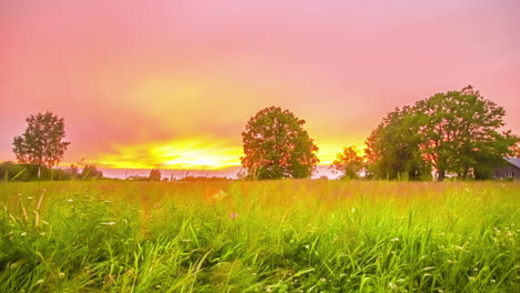 Golden-pink-timelapse-under-the-clouds-in-a-meadow-in-rural-farm-land