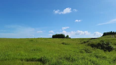 mountain-covered-with-green-grass-with-blue-sky-at-morning