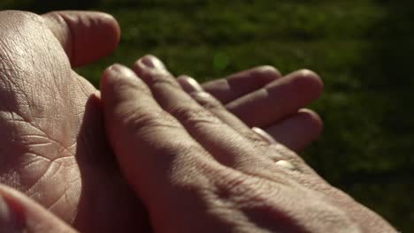 Close-up-of-unidentified-human-hands-doing-slow-clap,-with-green-grass-in-background
