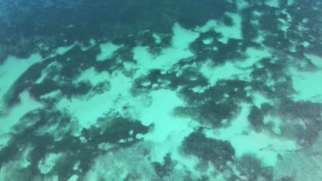 Luftaufnahme-Des-Wunderschönen-Klaren-Blauen-Meeres