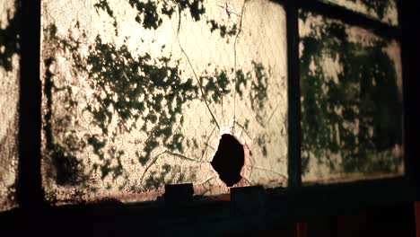 Zerbrochenes-Fenster-In-Verlassenem-Gebäude,-Schmutzige-Und-Ungepflegte-Umgebung,-HD-Video-Horrorort