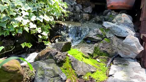 A-babbling-brook-flowing-along-a-rocky-garden-in-slow-motion