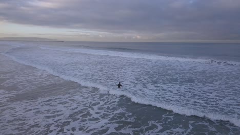 Viendo-A-Un-Surfista-Entrar-Al-Agua-En-Venice-Beach