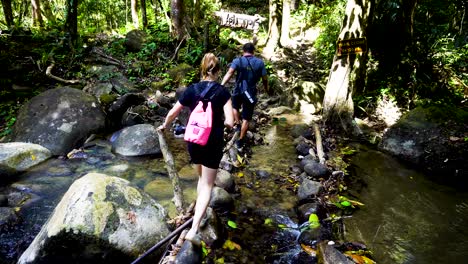 Female-Tourist-Carefully-Stepping-On-Stones-To-Cross-River-With-Guide-In-Khao-Sok-jungle