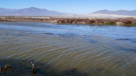 The-image-shows-the-waters-of-a-wetland-in-northern-Chile
