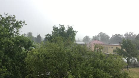 Strong-storm-with-heavy-rain-falling-on-fruit-trees