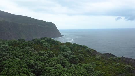 Idyllische-Naturlandschaft-Von-Miradouro-Da-Ponta-Do-Quemado-Auf-Der-Insel-Terceira,-Azoren---Luftdrohnenaufnahme