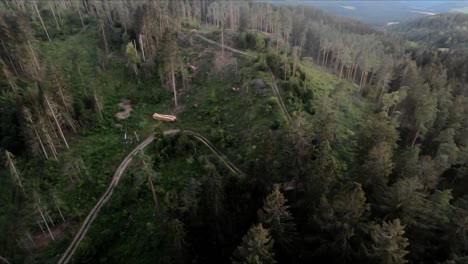 Drone-shot-over-a-forest-after-a-broken-beetle-infestation