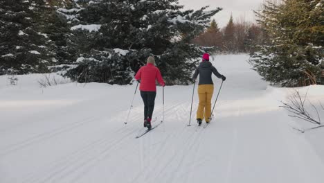 Two-female-friends,-cross-country-skiing-in-Homer-Alaska