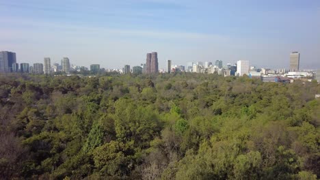 A-breathtaking-view-of-a-lush-greenery-of-a-stunning-forest-and-a-bustling-metropolis-in-the-distance