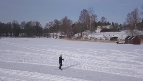 Aerial-tracking-shot-of-single-woman-pursuing-active-and-healthy-lifestyle-by-doing-exercise-in-the-form-of-speed-walking-with-ski-poles-over-frozen-lake
