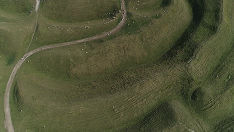 Wide-top-down-aerial-of-the-main-western-gate-ramparts-at-Maiden-Castle,-near-Dorchester-in-Dorset