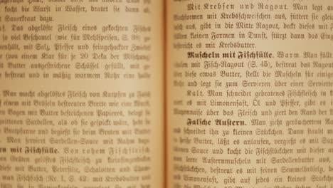 Defocus-and-sharp-view-from-the-old-fashioned-German-cookbook-and-its-foods-descriptions