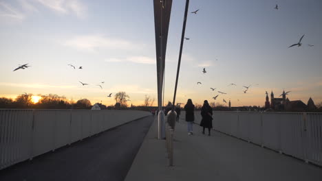 Ein-Vogelschwarm-Fliegt-In-Zeitlupe-über-Die-Hoge-Brug,-Eine-Fußgänger--Und-Fahrradbrücke,-Die-Die-Maas-In-Maastricht-überspannt