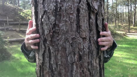 Close-up-of-two-Caucasian-male-arms-and-hands-hugging-a-tree-trunk-in-the-middle-of-the-forest