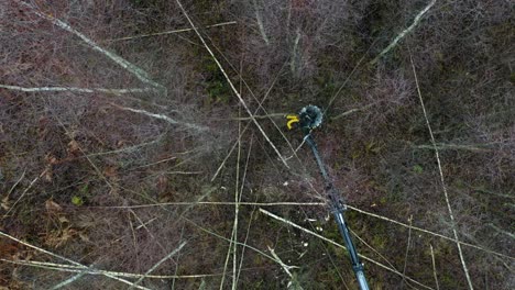 rotating-drone-footage-of-saw-cutting-down-trees