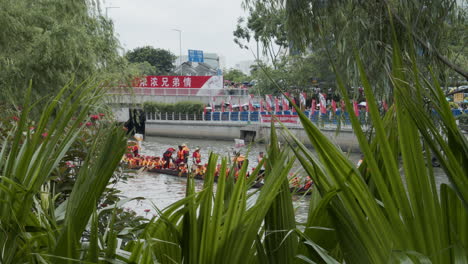View-of-Chinese-people-paddle-and-hit-drums-on-a-dragon-boats-during-dragon-boat-festival-in-downtown-of-Guangzhou-from-behind-the-green-plants,-Guangdong,-China